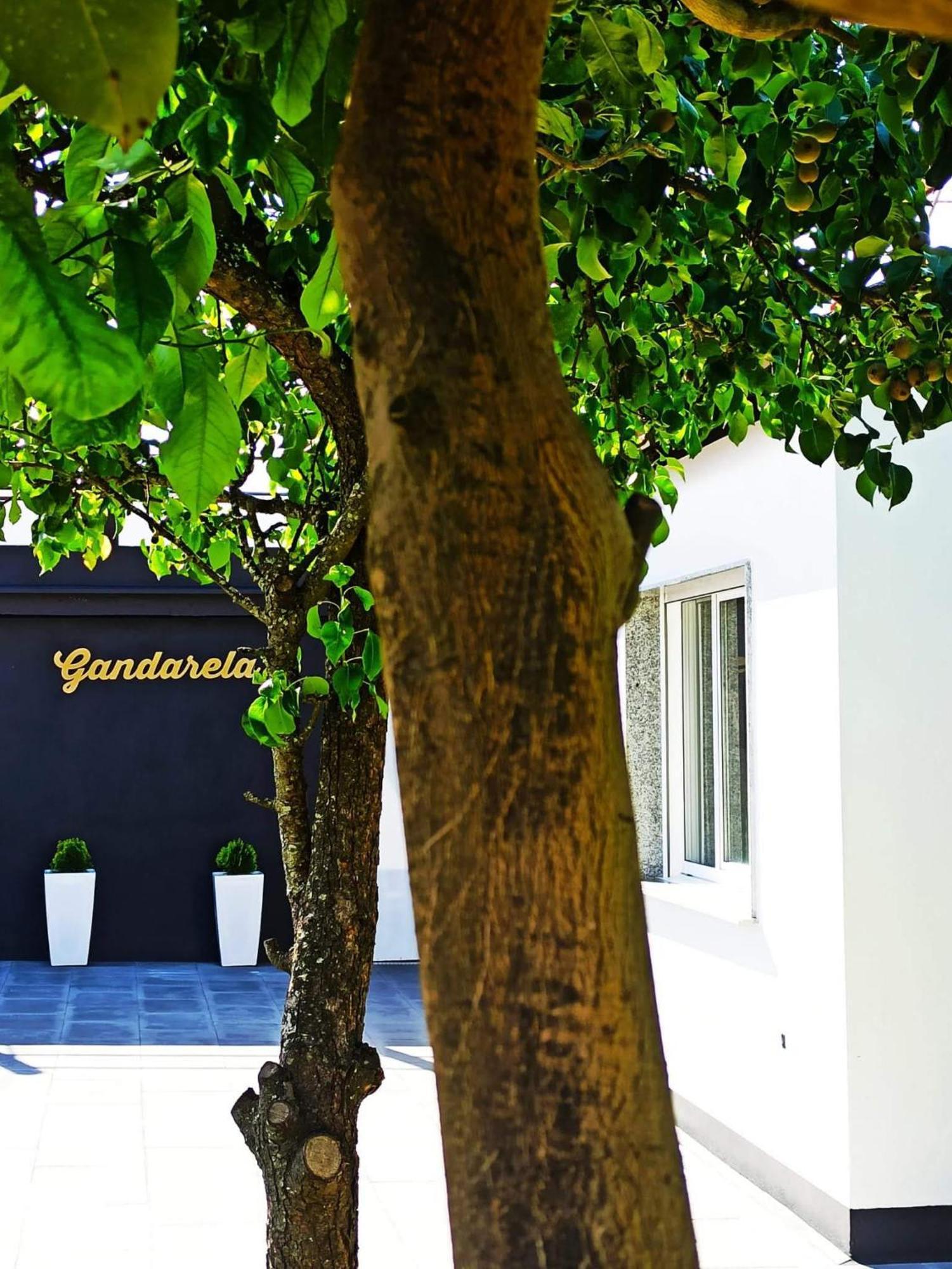 Apartamentos Vut Gandarela サンシェンショ エクステリア 写真